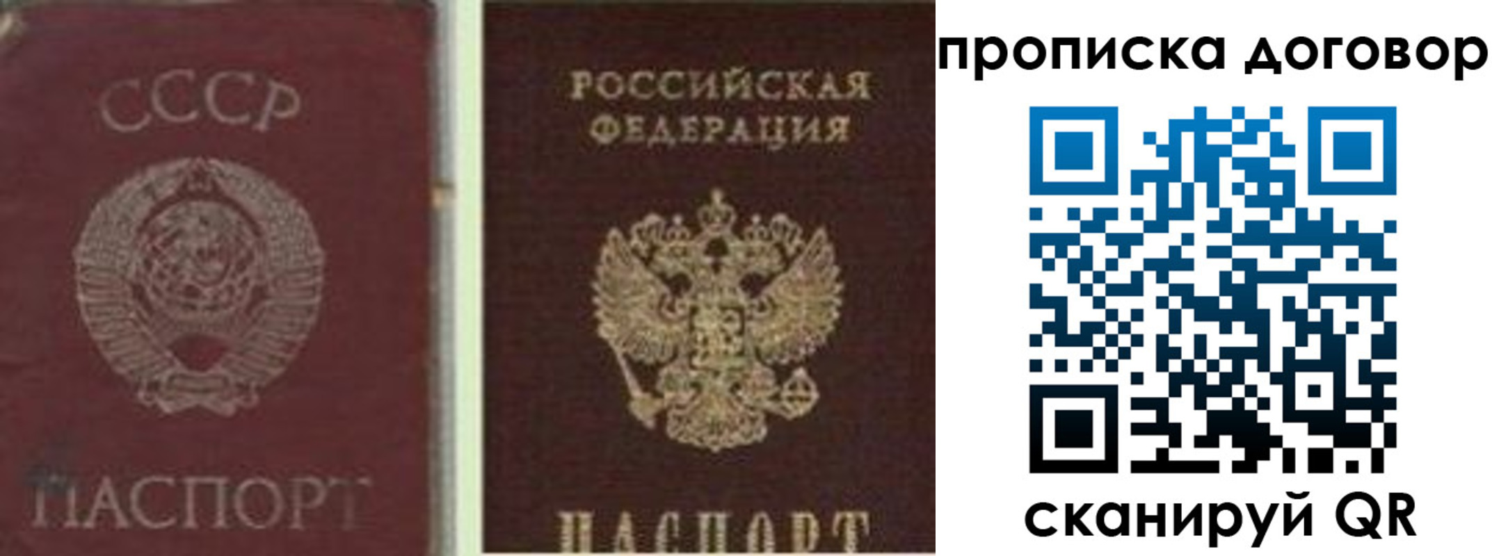прописка гарантия в Озёрах